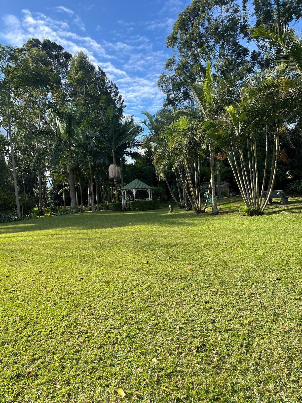Garden gazebo and lawn