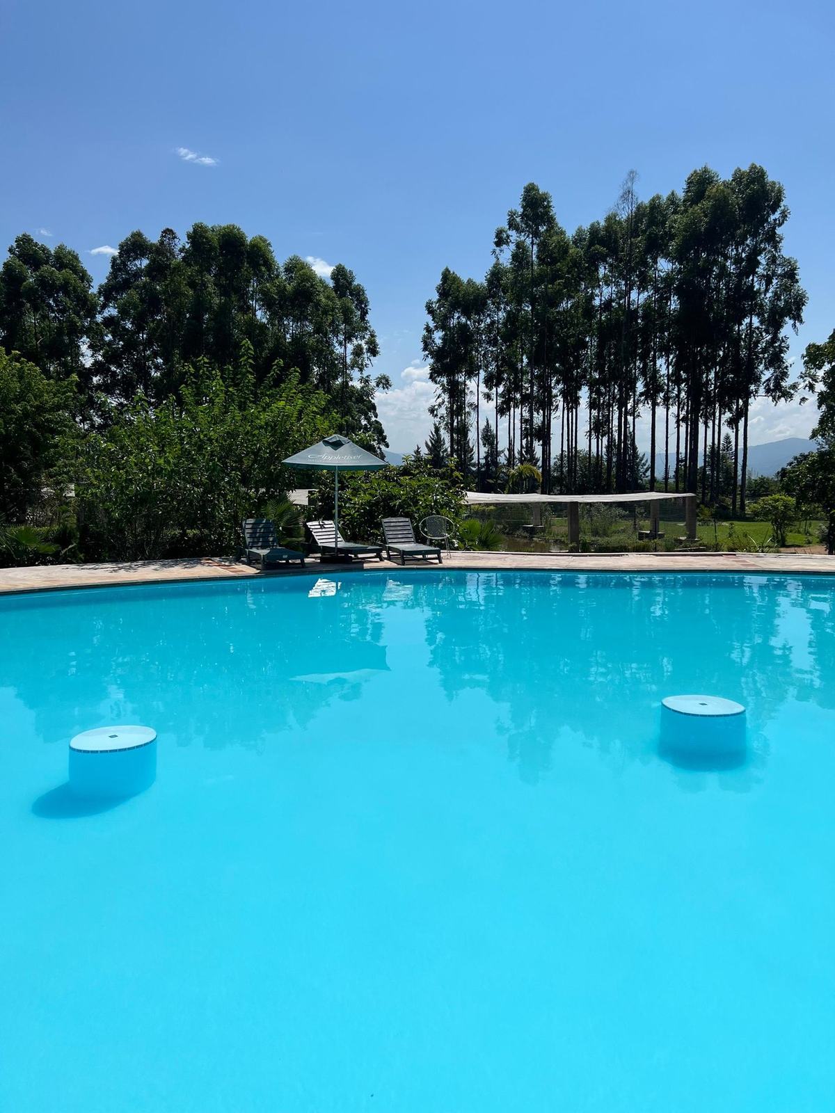 Pool beneath the trees